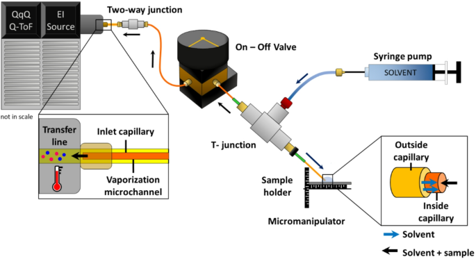 Drug screening in pharmaceutical and forensic applications using extractive-liquid sampling electron ionization-mass spectrometry (E-LEI-MS)