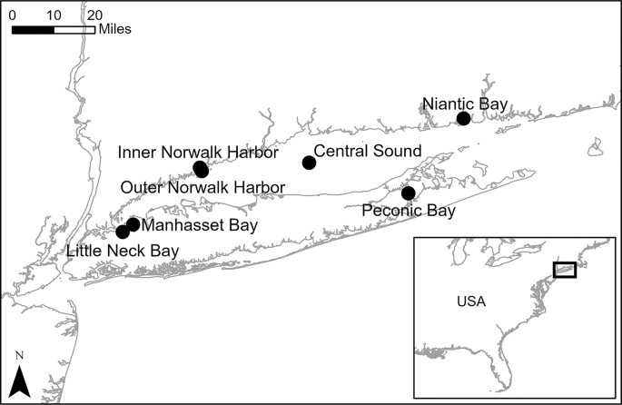 Regional biodiversity monitoring reveals severe population decline of the Atlantic horseshoe crab (Limulus polyphemus) in Long Island Sound, USA