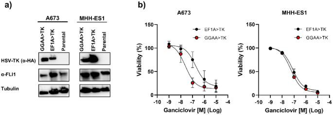 Suicide gene therapy targeting ewing sarcoma via an ewing-specific GGAA promoter