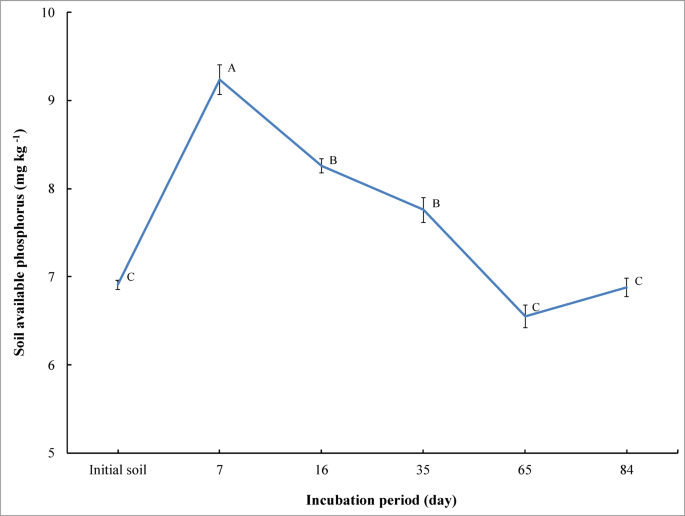 Incubation time effect on releasing available phosphorus in saline sandy soil as a function of bone char application