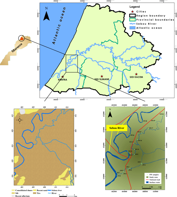 Monte carlo simulation for evaluating spatial dynamics of toxic metals and potential health hazards in sebou basin surface water