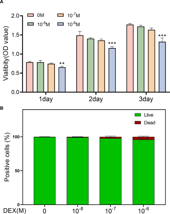 Glucocorticoids induce femoral head necrosis in rats through the HIF-1α/VEGF signaling pathway