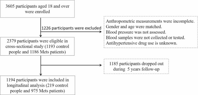 PDIA3 rs2788, a risk factor for metabolic syndrome, interacted negatively with antihypertensive medications