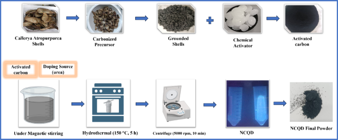 Callerya Atropurpurea shells derived nitrogen doped carbon quantum dots of electrodes for symmetrical and asymmetrical supercapacitors