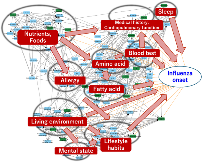 Network analysis reveals causal relationships among individual background risk factors leading to influenza susceptibility