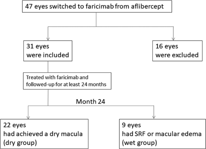 Two-year results of switching to intravitreal administration of faricimab in patients with aflibercept-refractory neovascular age-related macular degeneration