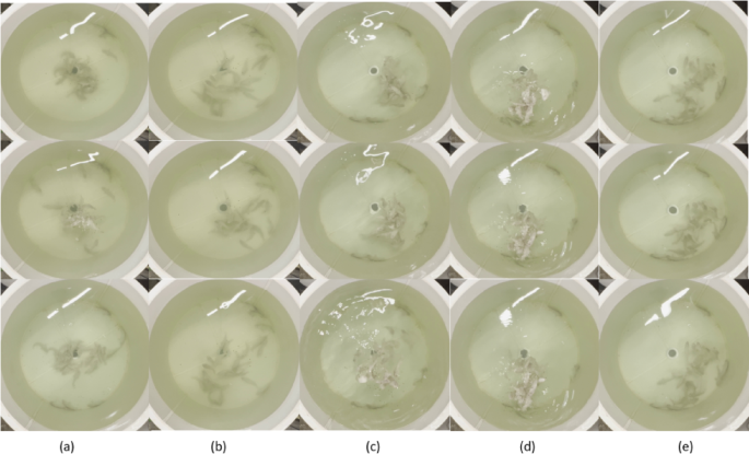 Fish feeding behavior recognition via lightweight two stage network and satiety experiments