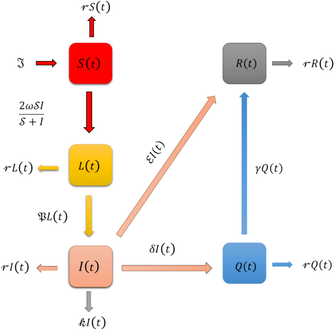 Deterministic and fractional-order modeling of measles dynamics with harmonic mean incidence rate and quarantine impact