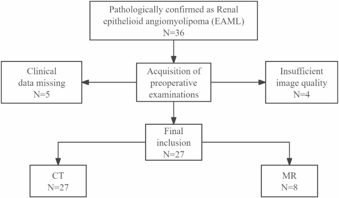 Imaging characteristics of renal epithelioid angiomyolipoma and its correlation with risk stratification