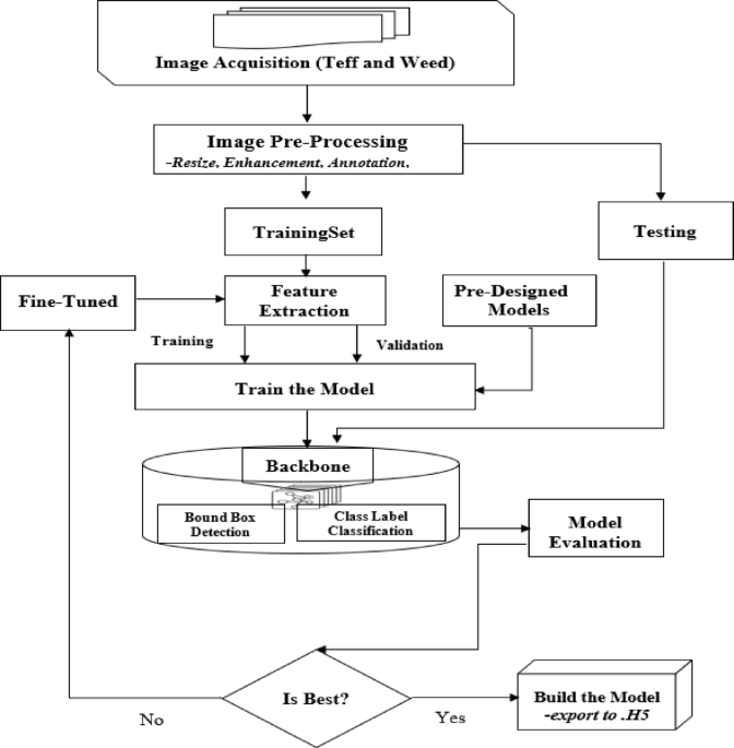 Detection of weeds in teff crops using deep learning and UAV imagery for precision herbicide application