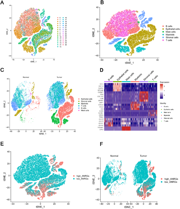 A novel anoikis related gene prognostic model for colorectal cancer based on single cell sequencing and bulk transcriptome analyses