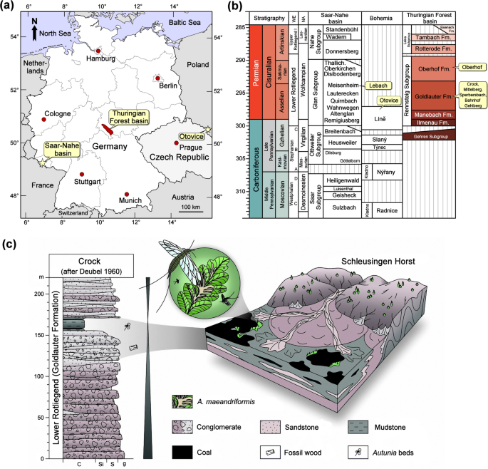 Host-specific leaf-mining behaviour of holometabolous insect larvae in the early Permian