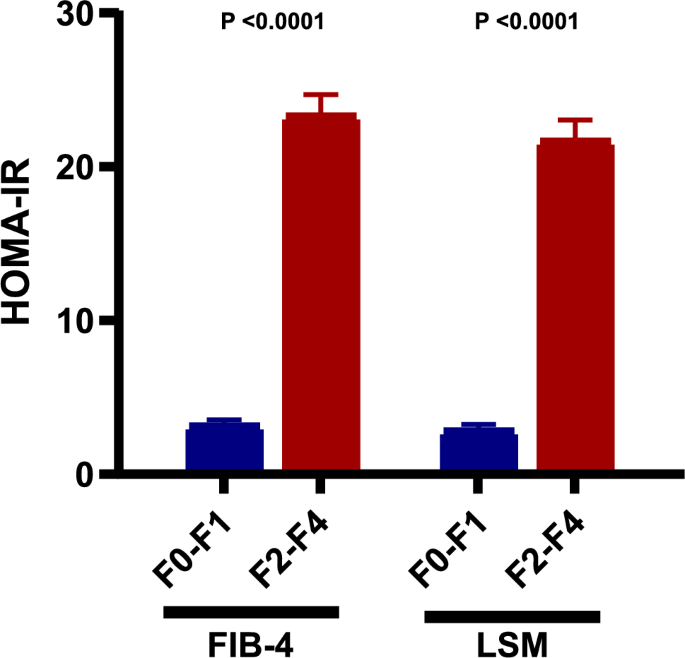 HOMA-IR, an independent predictor of advanced liver fibrosis in metabolic-dysfunction associated fatty liver disease: a cross-sectional study in Egyptian patients
