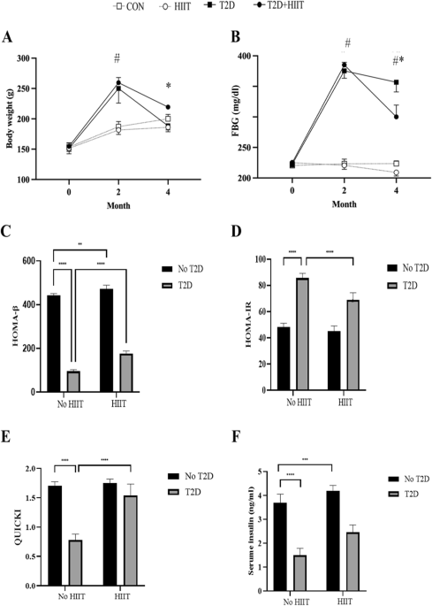 High intensity interval training attenuate insulin resistance in diabetic rats accompanied by improvements in liver metabolism and spexin signaling