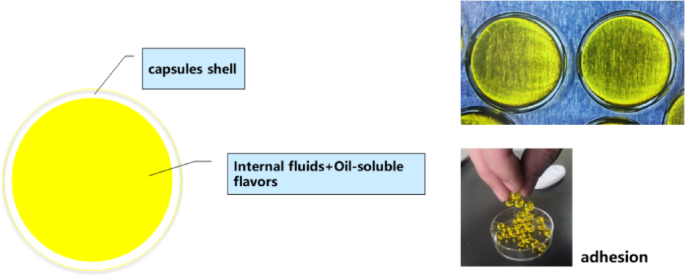 Hygroscopic properties modeling and thermodynamic analysis of a seamless popping capsule