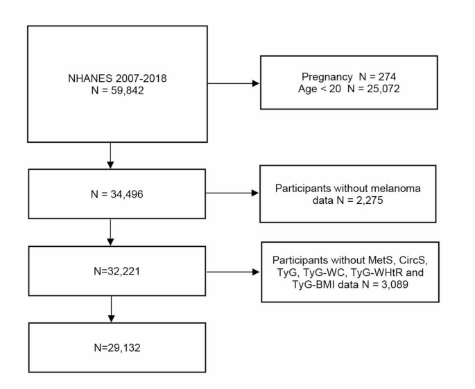 Gender-specific associations of metabolic and circadian syndromes with melanoma risk: insights from NHANES 2007–2018