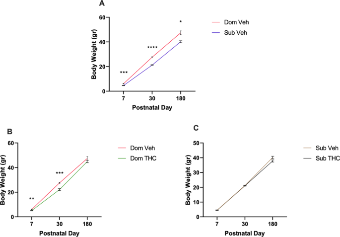 Personality-based intergenerational effects of prenatal THC exposure in an inherited mouse model of social dominance and submissiveness