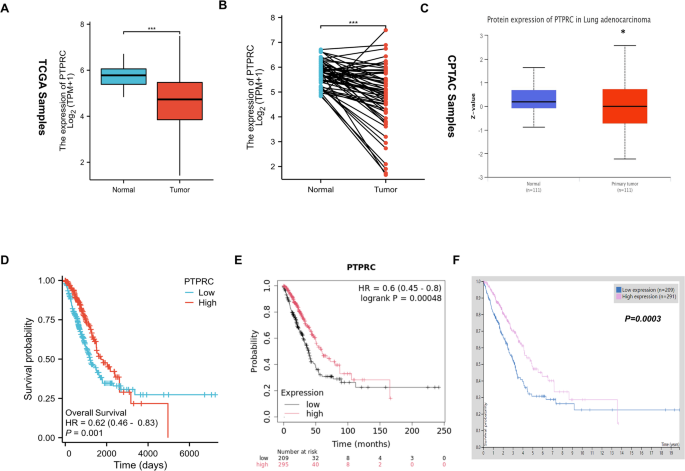 PTPRC is an immunotherapeutic predictor and serum biomarker in lung adenocarcinoma correlated with immune cell infiltration