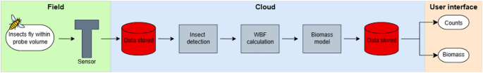 Automated insect detection and biomass monitoring via AI and electrical field sensor technology