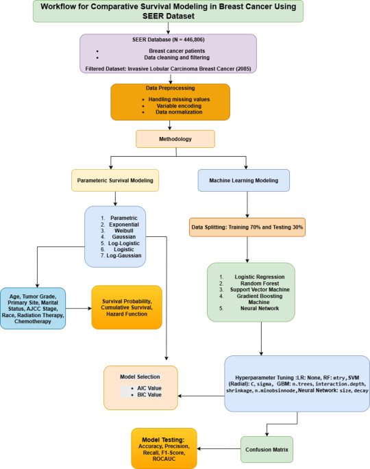 A comparative analysis of parametric survival models and machine learning methods in breast cancer prognosis
