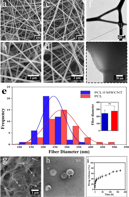 Liposomal ellagic acid enhances the regenerative potential of ADMSC-laden nanofibrous PCL scaffolds in a rat model of spinal cord injury