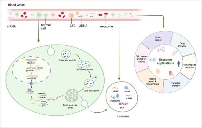 Prediction of exosomal miRNA-based biomarkers for liquid biopsy