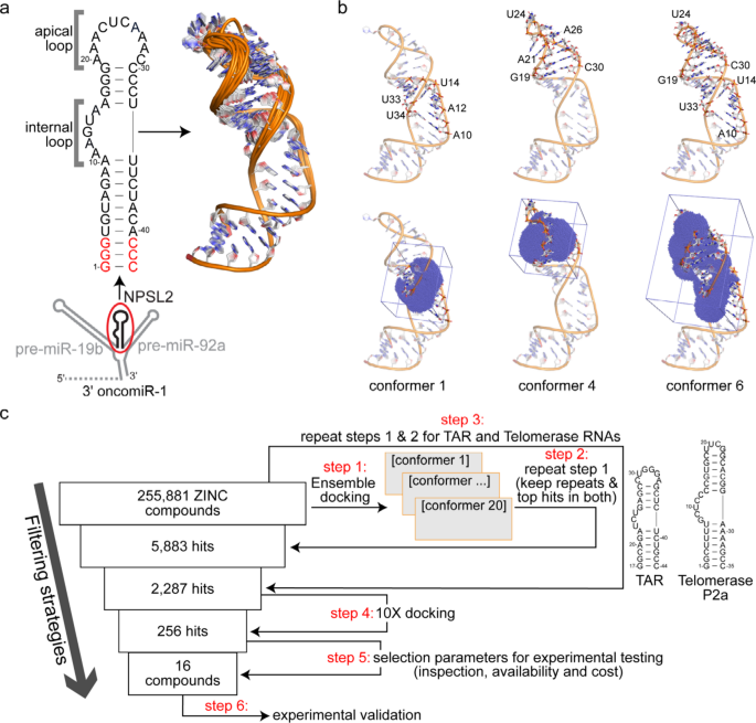 Structure guided discovery of small molecule ligands targeting the oncomiR-1 NPSL2 hairpin