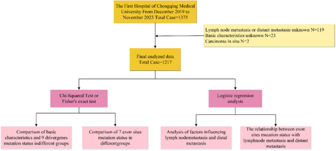 Comprehensive evaluation of risk factors for LNM and distant metastasis in patients with NSCLC