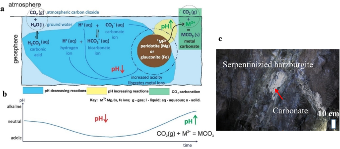 Low temperature carbonation and CO2 mineral trapping in altered hydrotalcite-rich ultrmafic rocks