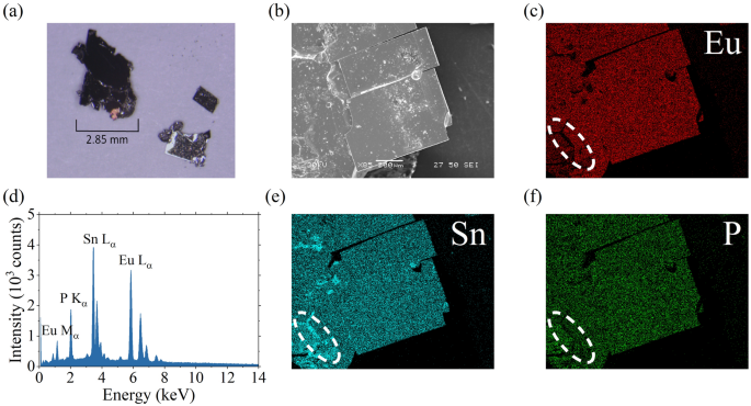 Studies of magnetic properties of EuSnP single crystals
