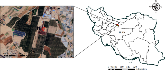 Crop yield and water productivity modeling using nonlinear growth functions