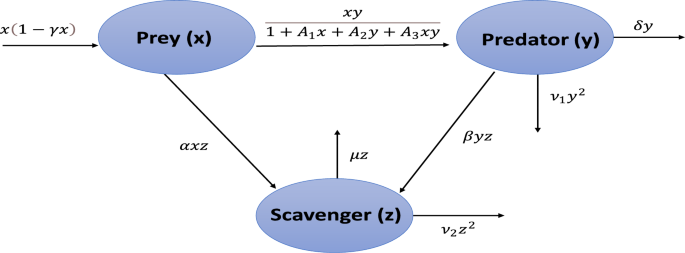 Period-doubling cascade to chaos and optimal quadratic harvesting in a prey–predator–scavenger model using Crowley–Martin functional response