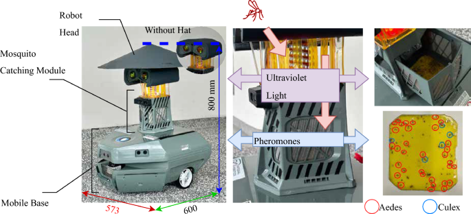 Human activity-aware coverage path planning for robot-based mosquito control