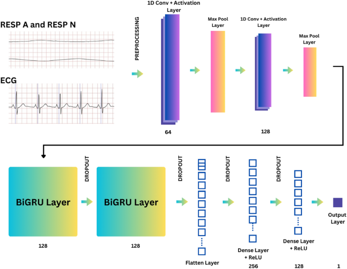 Integrating physiological signals for enhanced sleep apnea diagnosis with SleepNet