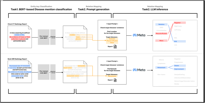 Two stage large language model approach enhancing entity classification and relationship mapping in radiology reports