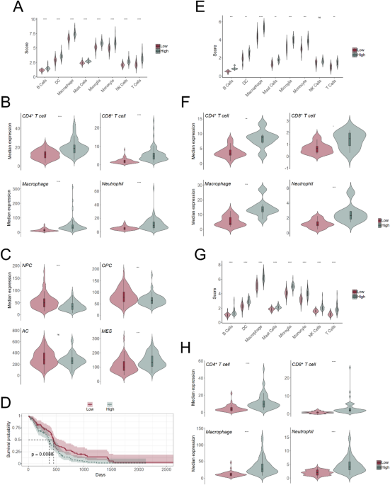 Tumour immune infiltration is independent of peripheral circulation of white blood cells in glioblastoma