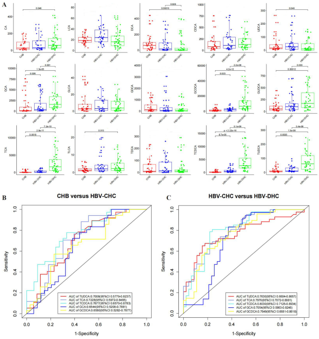 Taurochenodeoxycholic acid as a sensitive stratification marker for HBV-associated hepatic cirrhosis status has a hepatoprotective effect