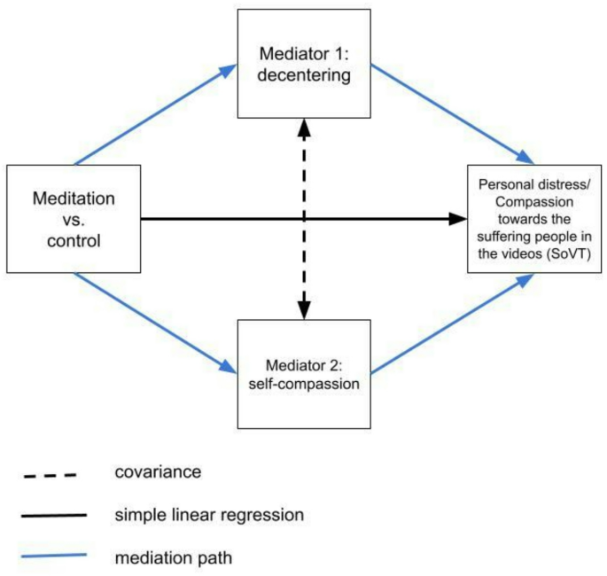 Effects of brief mindfulness meditation on compassion and personal distress using the socio-affective video task