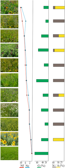 The impact of urban flower meadows on the well-being of city dwellers provides hints for planning biophilic green spaces