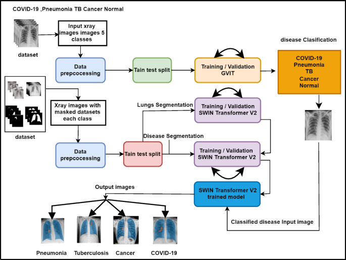 Dual-model approach for accurate chest disease detection using GViT and swin transformer V2