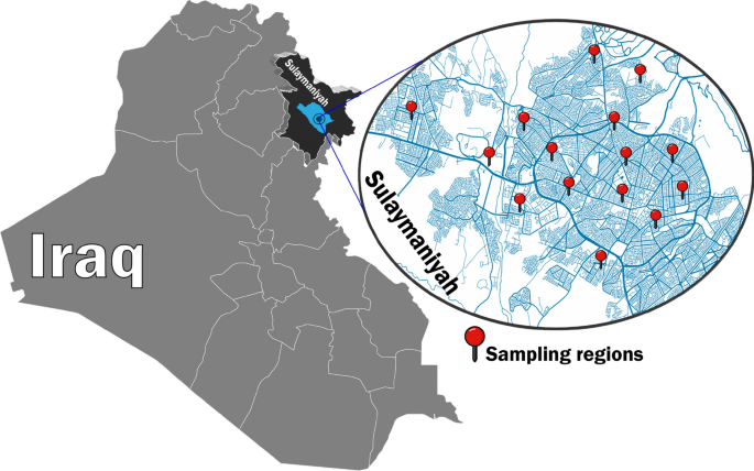Levels and health risk assessment of polycyclic aromatic hydrocarbons in grilled meat in the Kurdistan region of Iraq