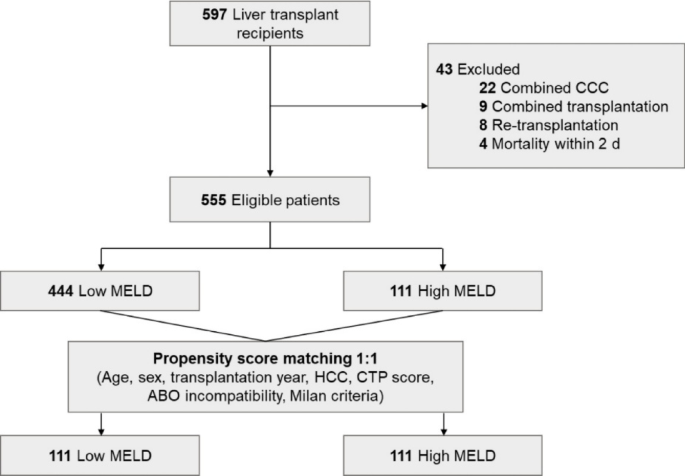 Immunoglobulin G dynamics and outcomes of hypogammaglobulinemia in liver transplant recipients