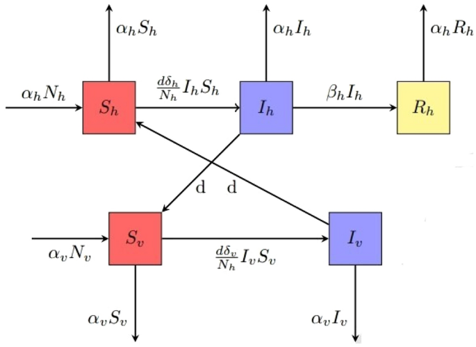 Numerical study on fractional order nonlinear SIR-SI model for dengue fever epidemics