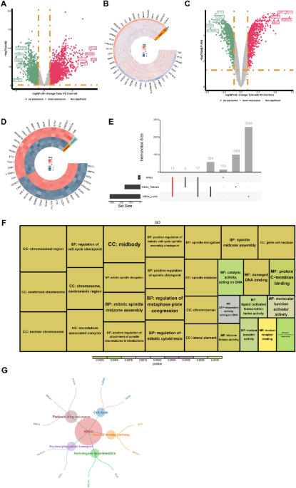 Identification of SUMOylation modifiers involved in lung adenocarcinoma progression and Osimertinib resistance by integrated bioinformatics analysis