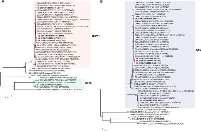 Metagenomic analysis and genomic characterization of enterovirus A76 and Norovirus GI.6[P11] co-infection in a patient with acute gastroenteritis in Thailand