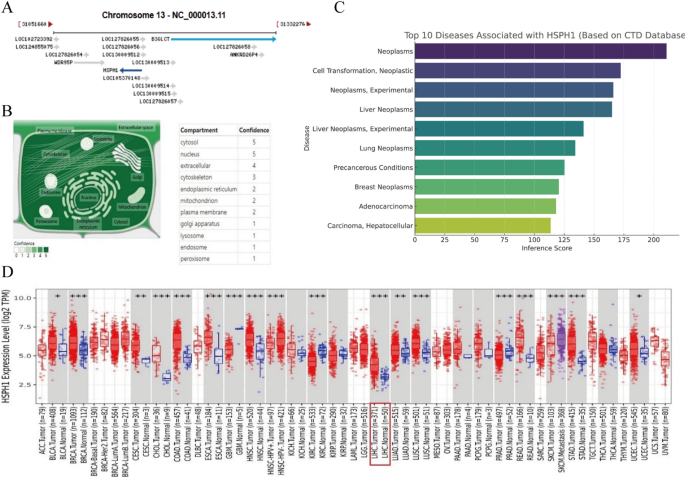 Heat shock protein family H member 1 HSPH1 expression correlates with progression and prognosis of hepatocellular carcinoma