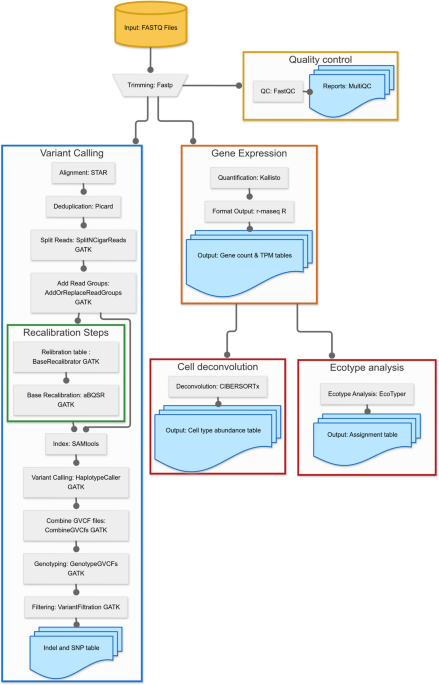 RnaXtract, a tool for extracting gene expression, variants, and cell-type composition from bulk RNA sequencing