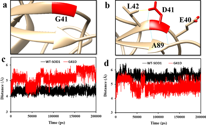 Uncovering the protein aggregation process through effect of G41D mutant SOD1 charge variation in ALS disease