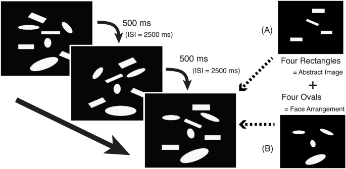 Frequency-specific neural abnormalities in congenital prosopagnosia revealed by magnetoencephalography during face perception