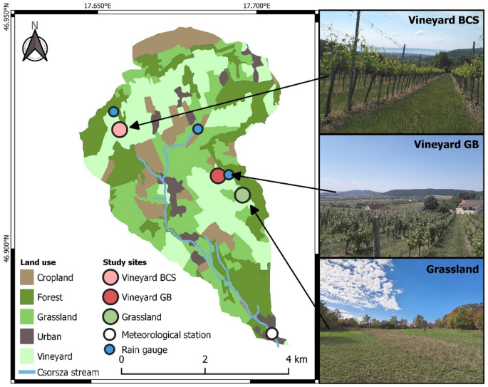 Refining grapevine vegetation status by utilizing grassland and remote sensing data